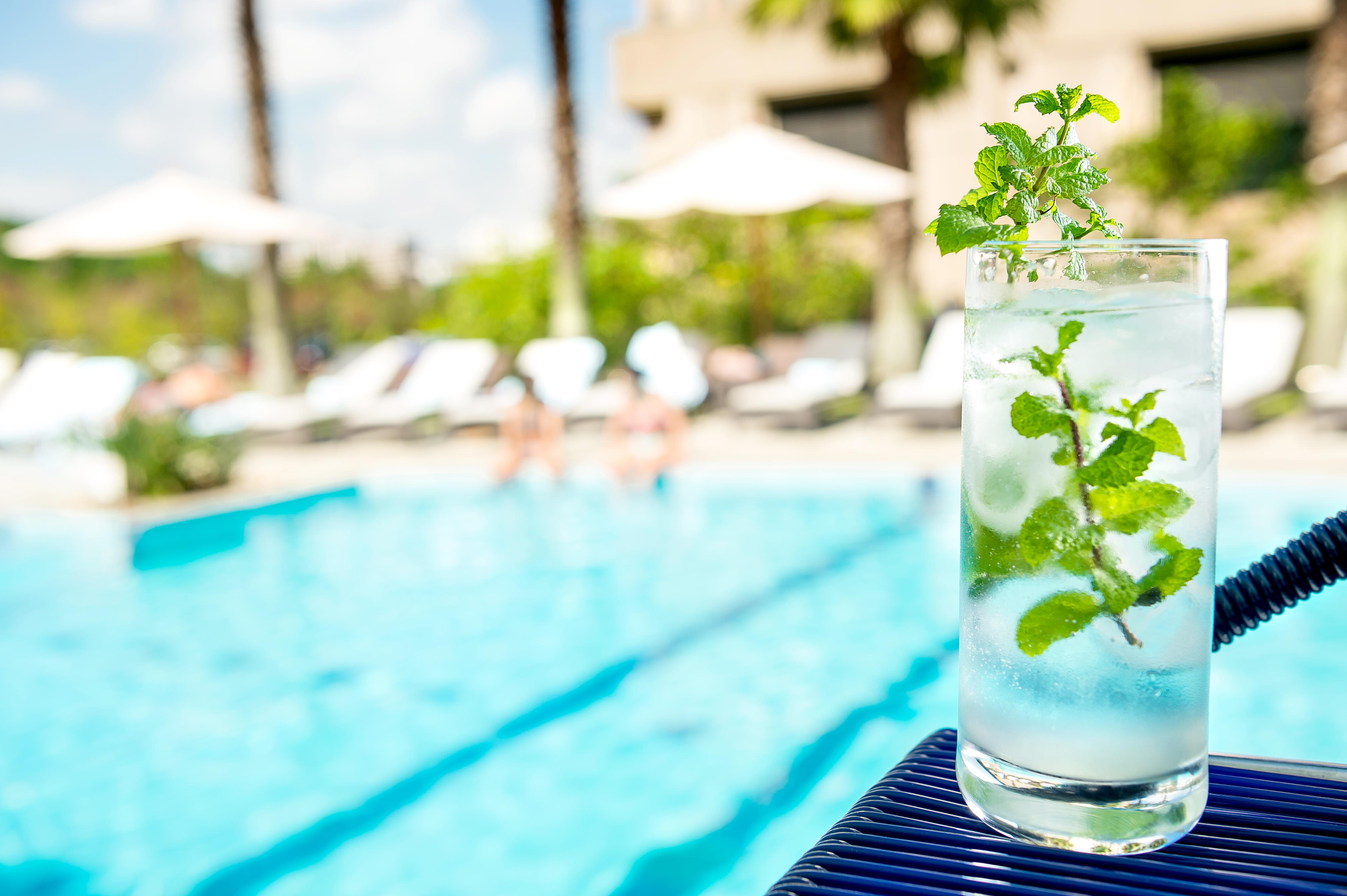 Pullman Sao Paulo Guarulhos Airport Hotel Ngoại thất bức ảnh A glass of water with mint leaves